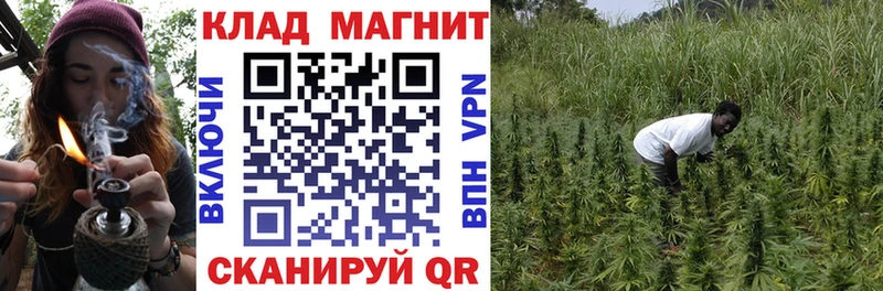 Наркошоп купить ГАШ  Бошки Шишки  МЕФ  Александровское