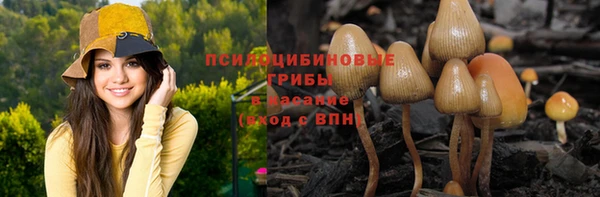 экстази Дмитриев
