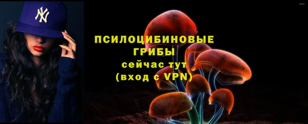 первитин Дмитров